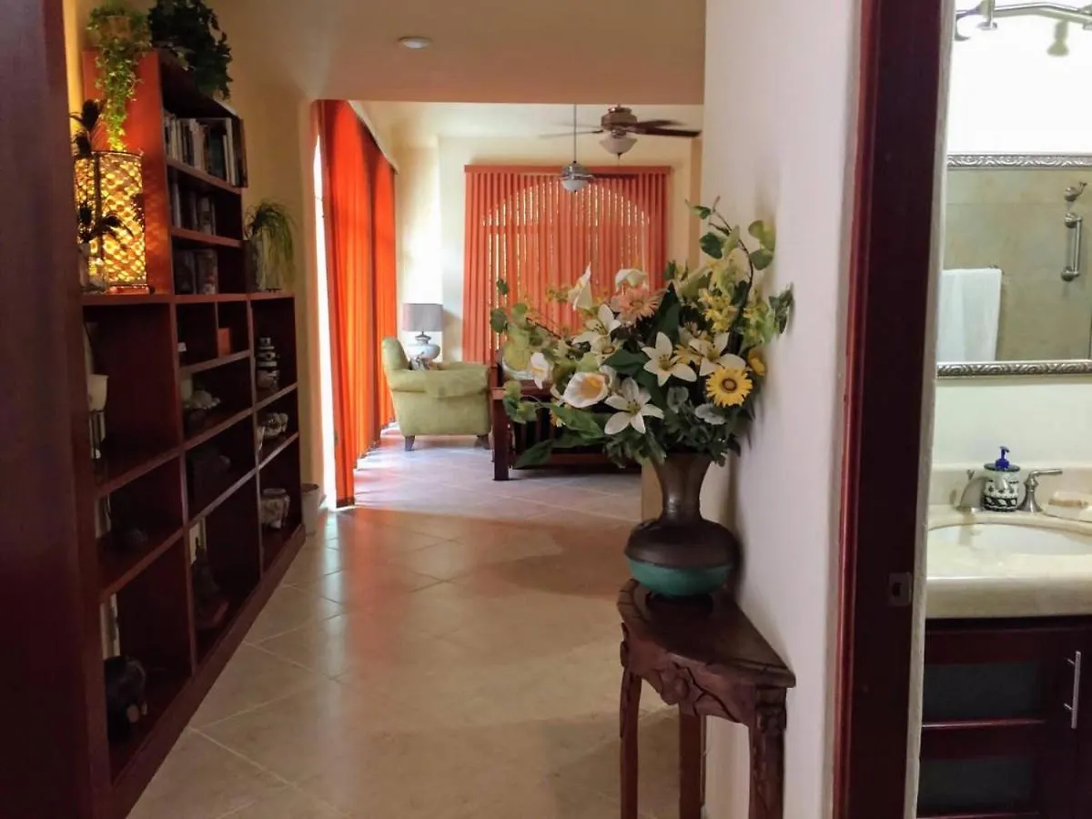 Casa Beard, Spacious Guest House With High Speed Wifi & Pool. Playa del Carmen