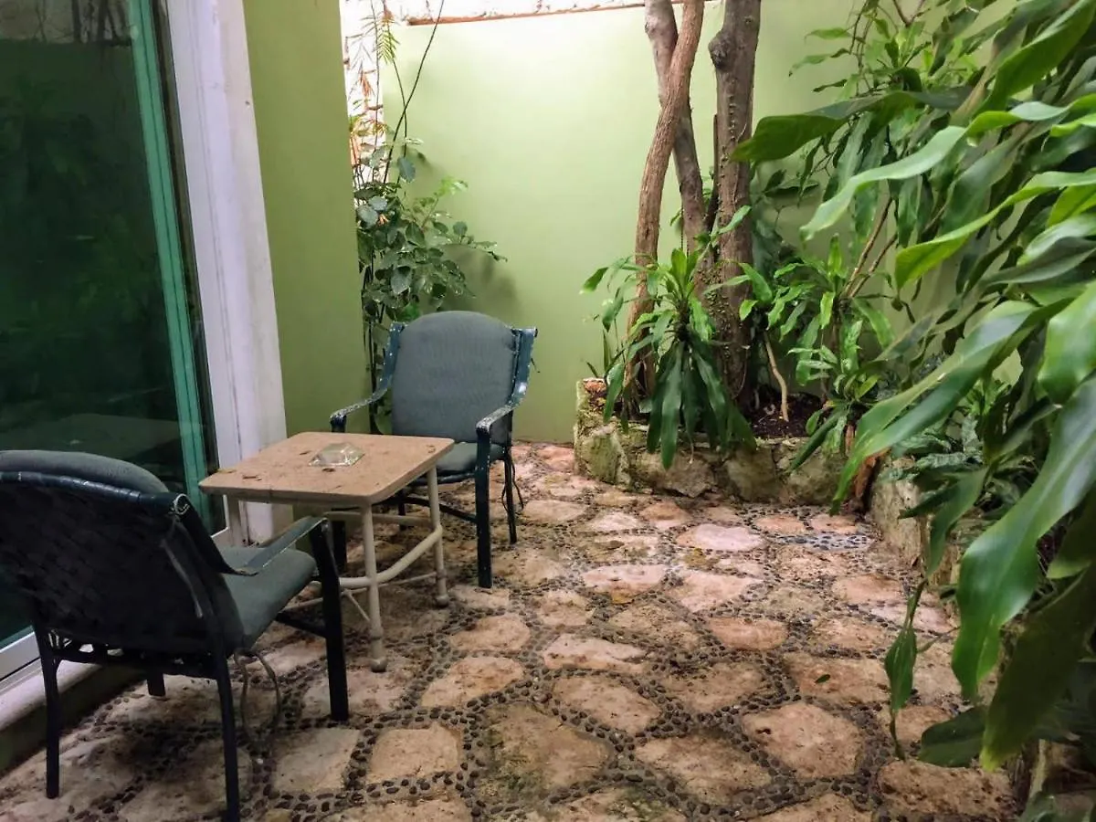 Casa Beard, Spacious Guest House With High Speed Wifi & Pool. Playa del Carmen Mexico