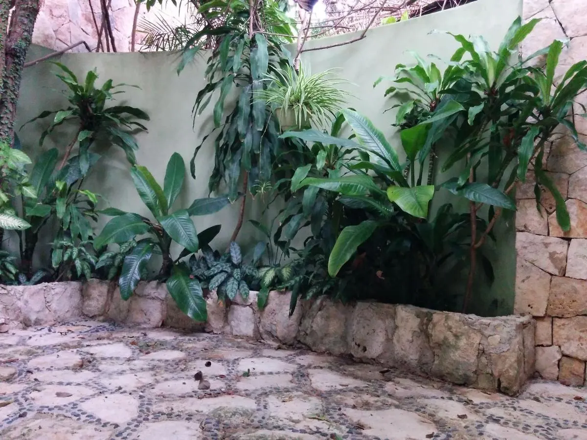 Casa Beard, Spacious Guest House With High Speed Wifi & Pool. Playa del Carmen 0*,