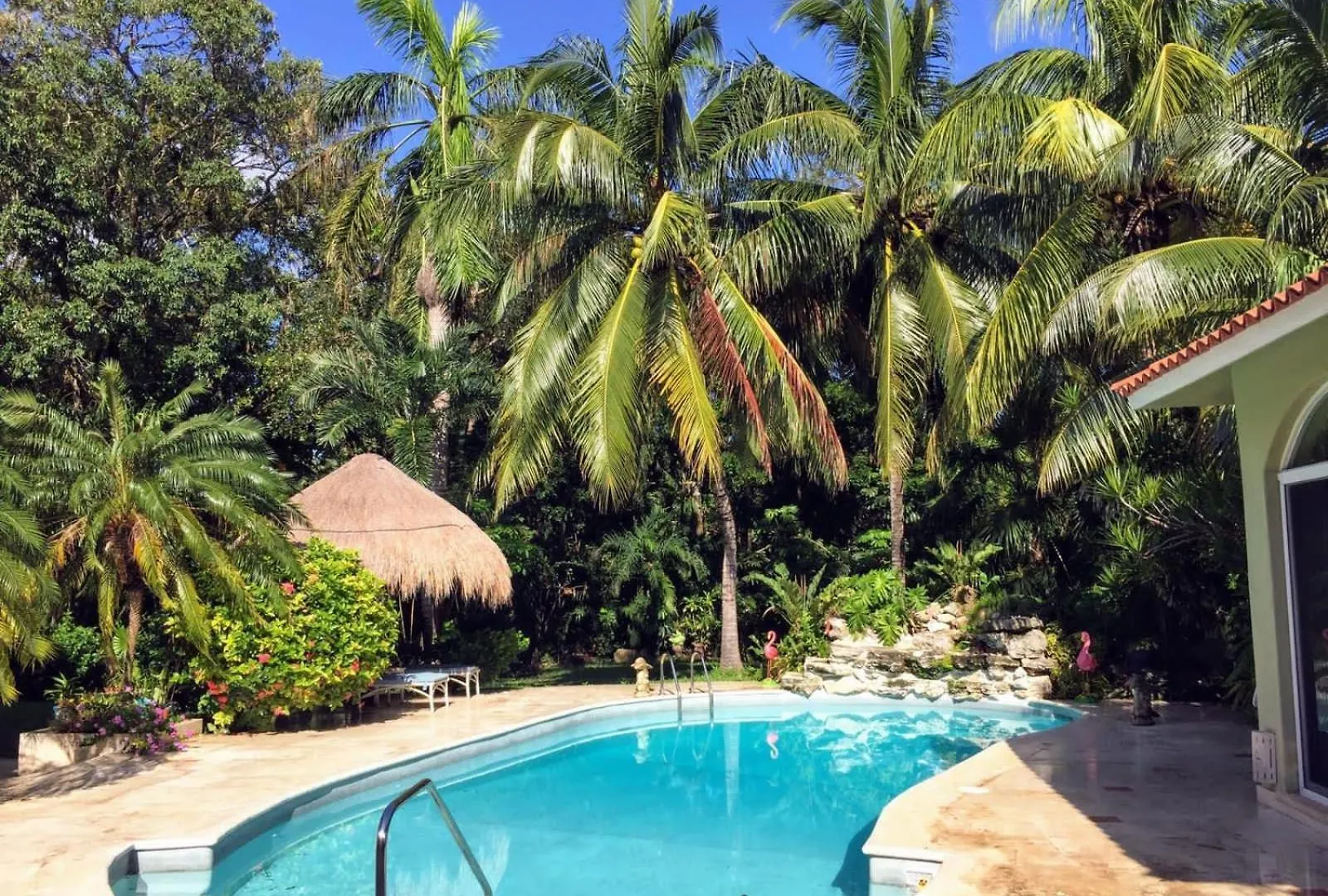 Casa Beard, Spacious Guest House With High Speed Wifi & Pool. Playa del Carmen 0*,  Mexico