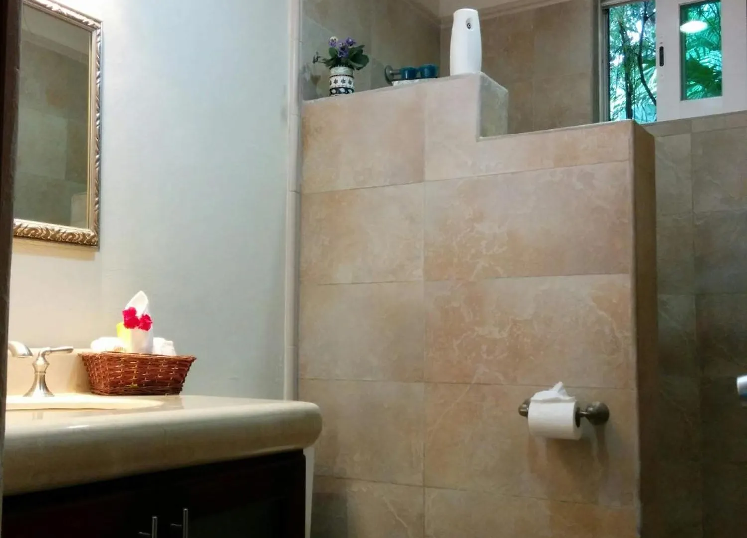 Casa Beard, Spacious Guest House With High Speed Wifi & Pool. Playa del Carmen Holiday home